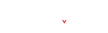 Small red downward chevron centered on a white background