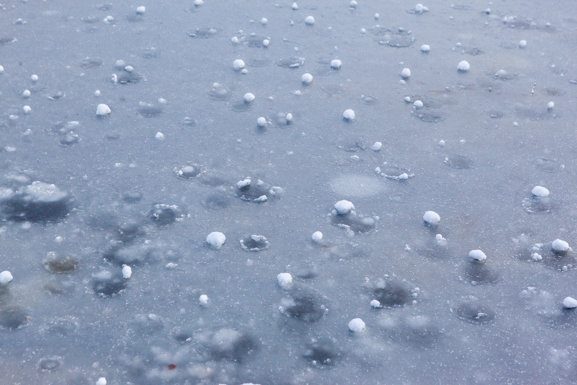 Frozen water surface with small, white ice formations scattered across it.