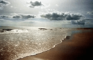 Funeral Home And Cremations Scattering Ashes Jacksonville FL