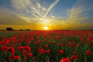 Funeral Home And Cremations Service Planning Memorial Jacksonville FL