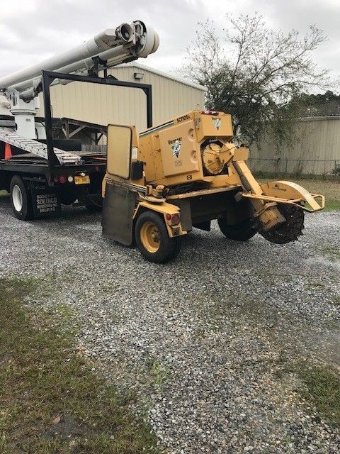 Tree Stump — Biloxi, MS — Wright's Tree Service Inc