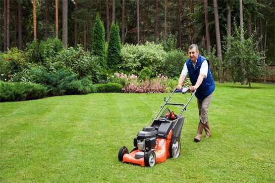 A man is pushing a lawn mower on a lush green lawn.