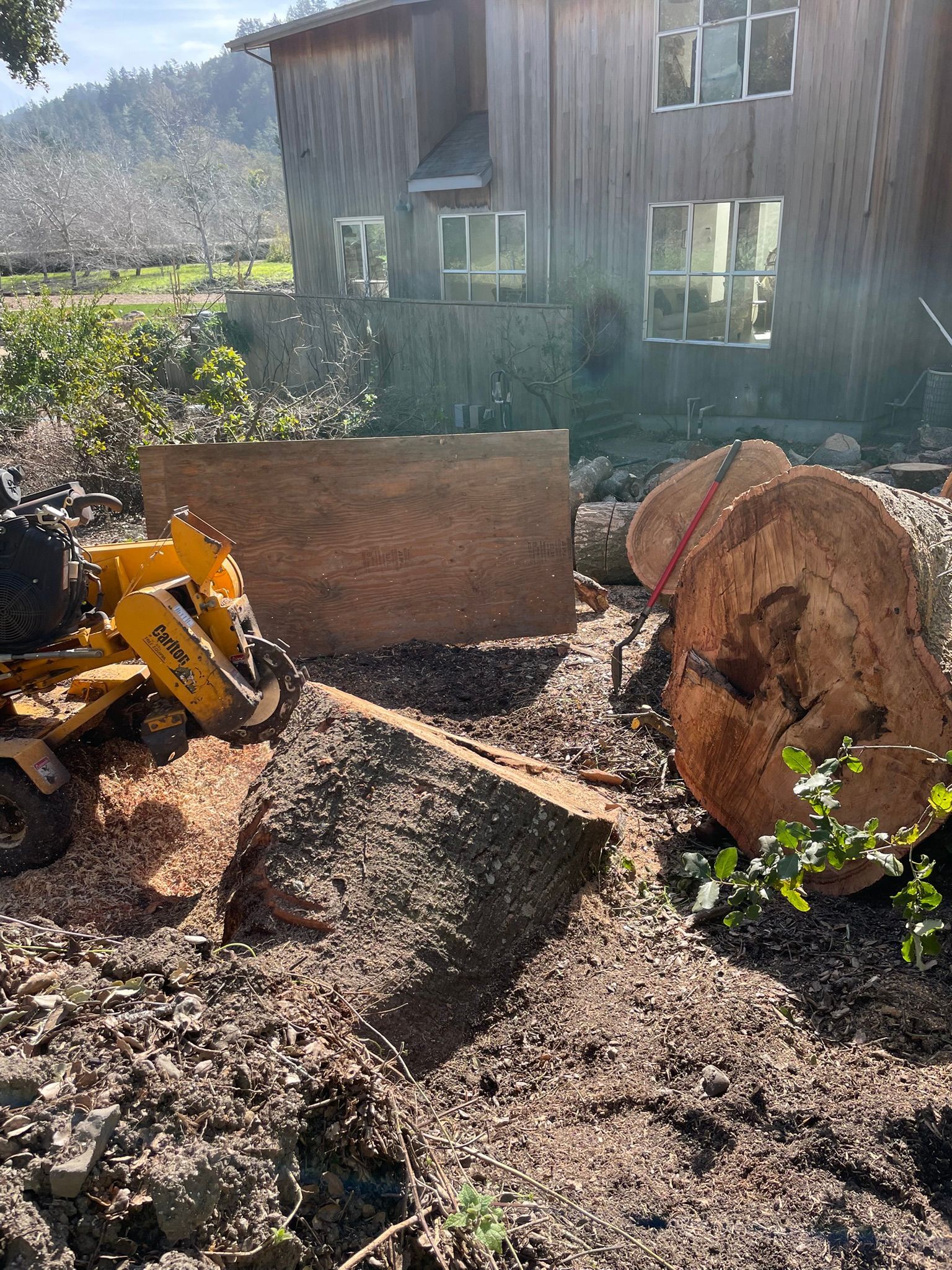 Yellow mini excavator beside a large tree stump in a mulch-covered yard near a wooden house