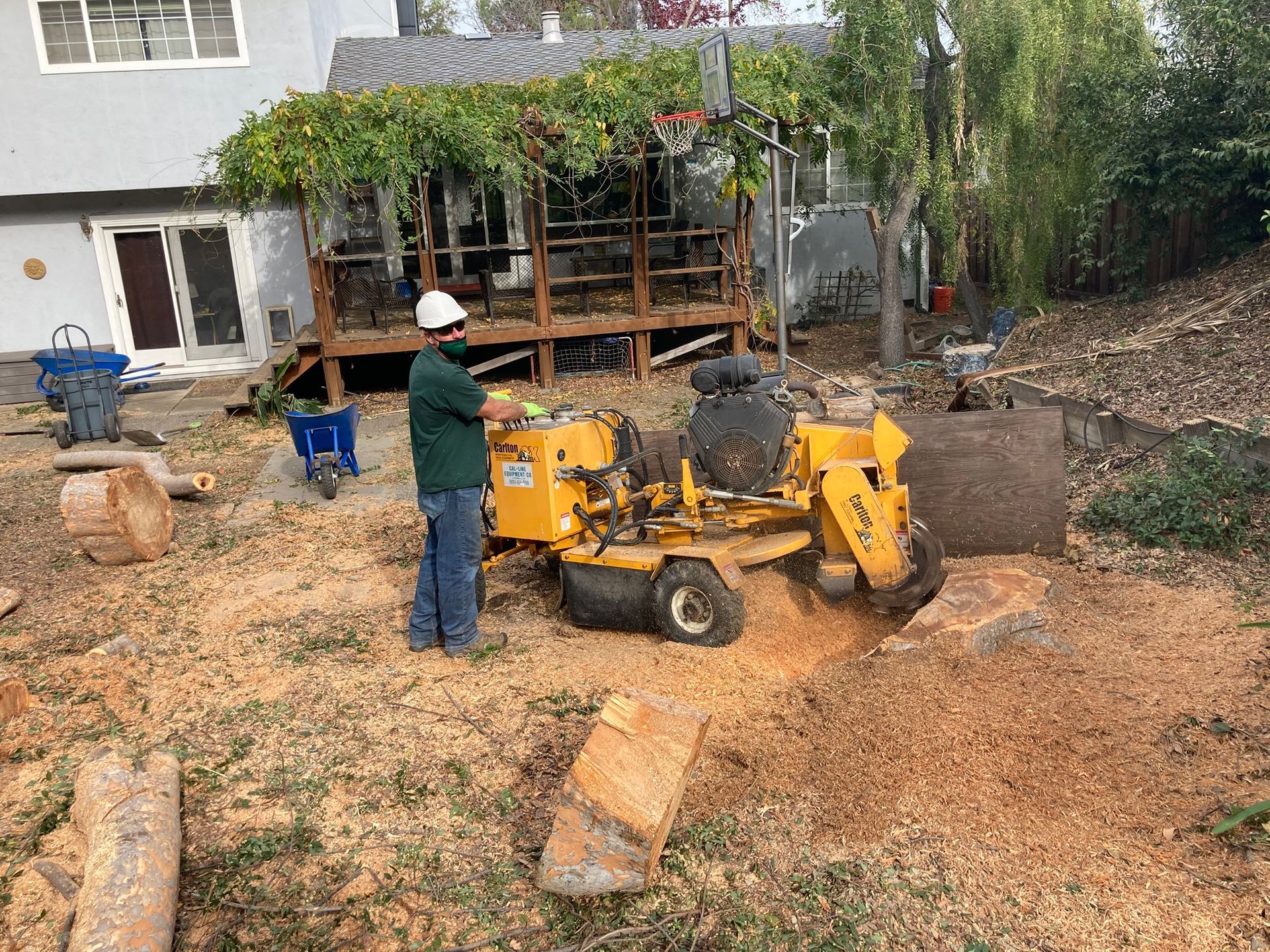 Worker operating yellow wood chipper in a yard with logs and wood chips scattered around.