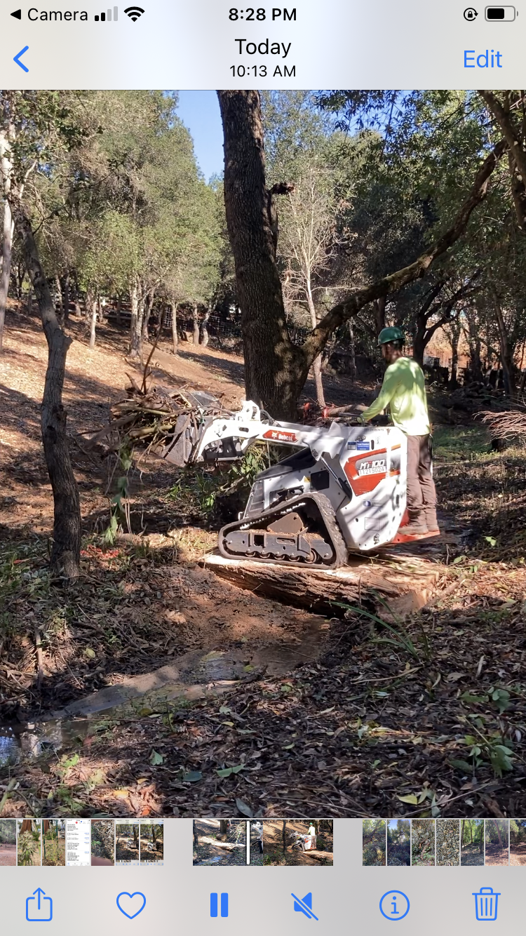 Yellow excavator clearing a fallen log in a muddy forest clearing