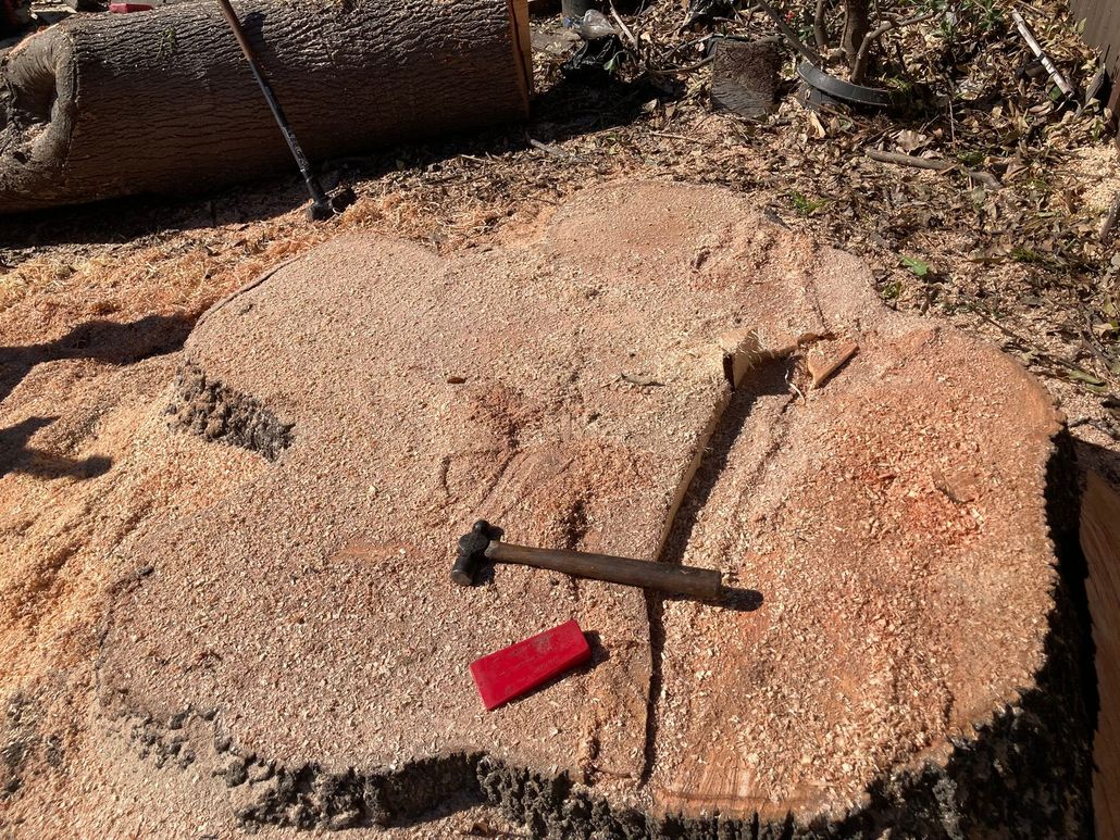 Yellow logging machine cutting a tree stump, with wood chips scattered on the ground.