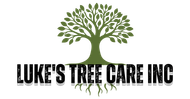 Luke’s Tree Care Inc logo with a green tree and roots above black text