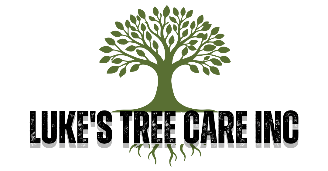 Luke’s Tree Care Inc logo with a green tree and roots above black text