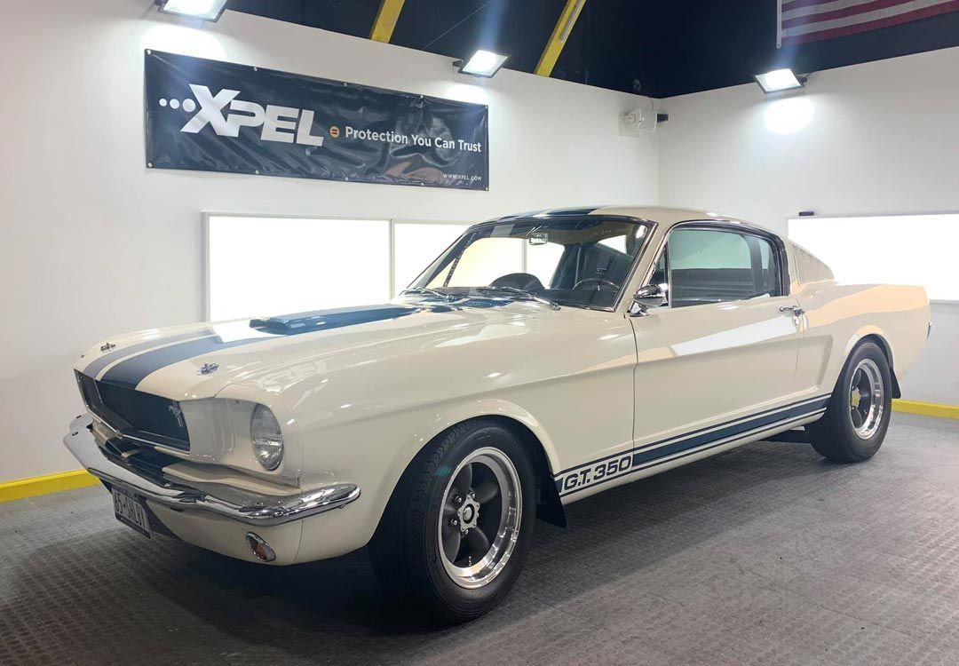 Shelby Mustang
