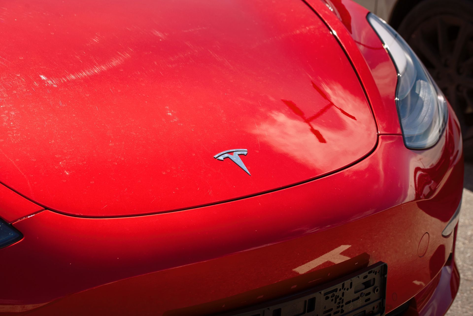 Red Tesla car hood with silver logo, license plate, and reflection of sky.