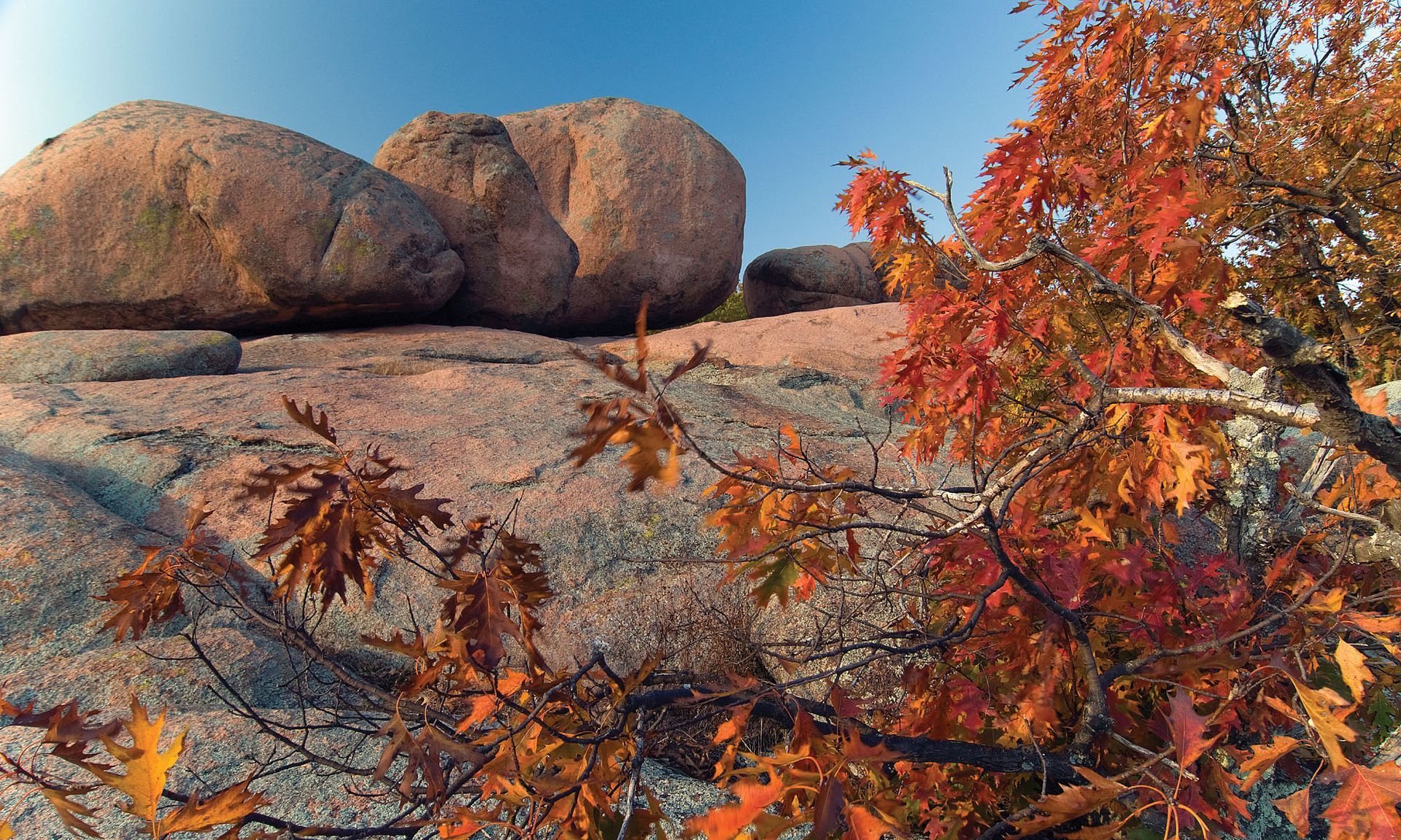 A rocky hillside with trees and bushes on it