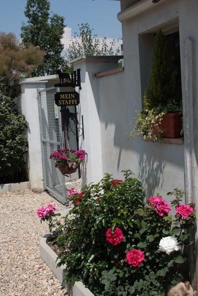 ingresso di pensione per animali