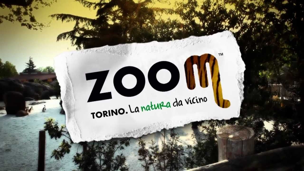 tre cuccioli di cane all'aperto