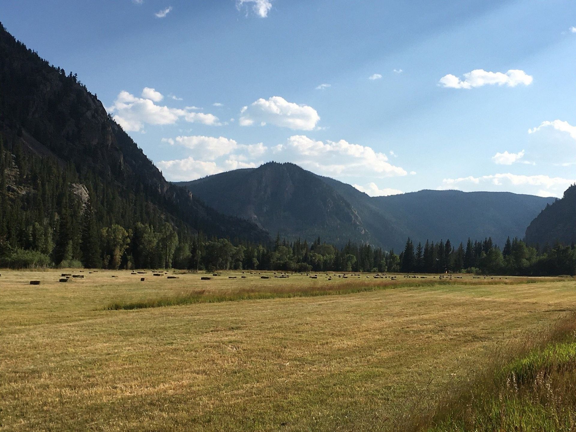 Grassy meadow beneath forested mountains under a blue sky with scattered clouds
