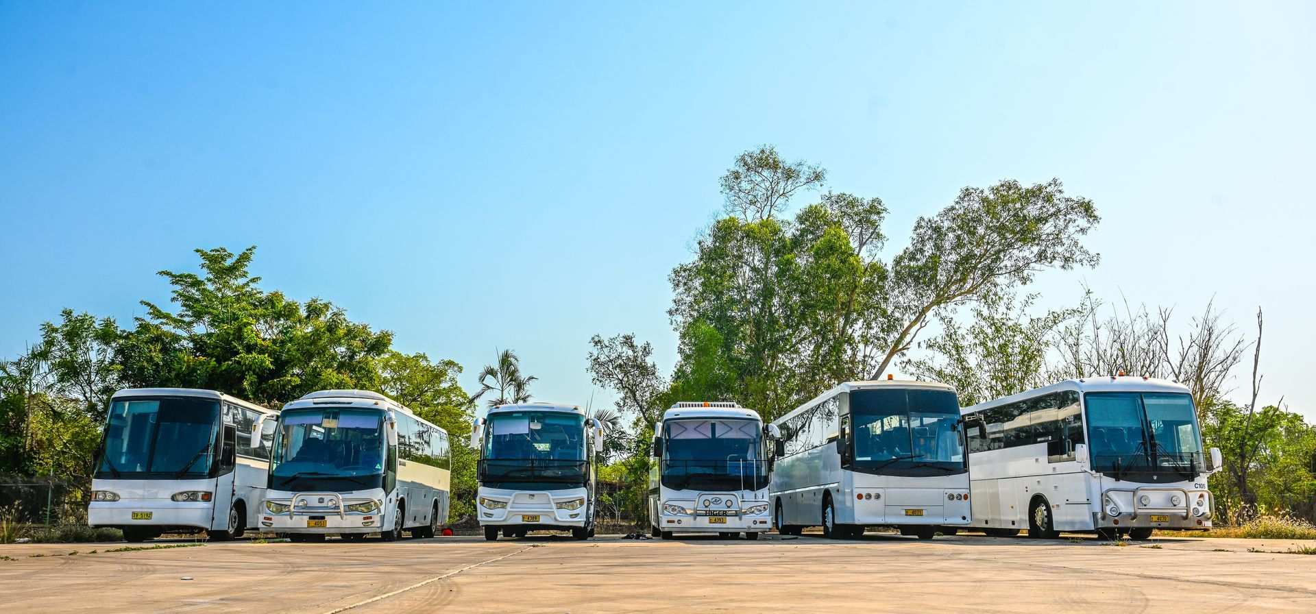 White Tourist Bus - Charter Transport in Darwin, NT