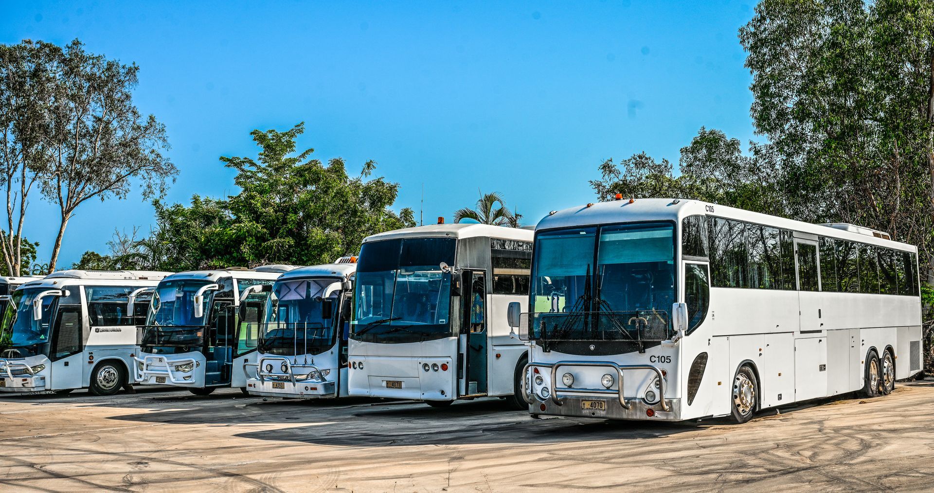 charter buses in a row - Charter Transport in Darwin, NT