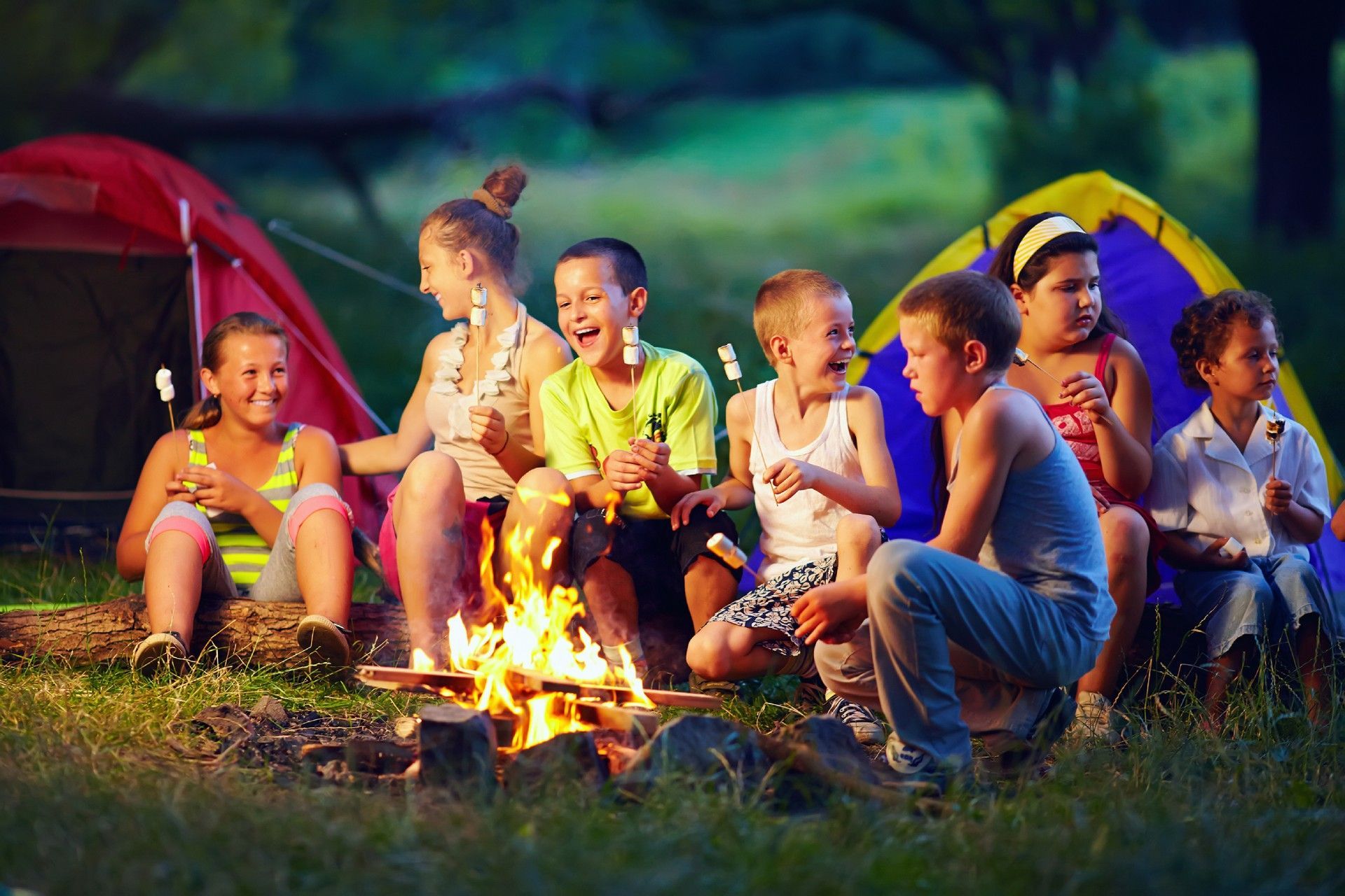 A group of children are sitting around a campfire eating marshmallows.