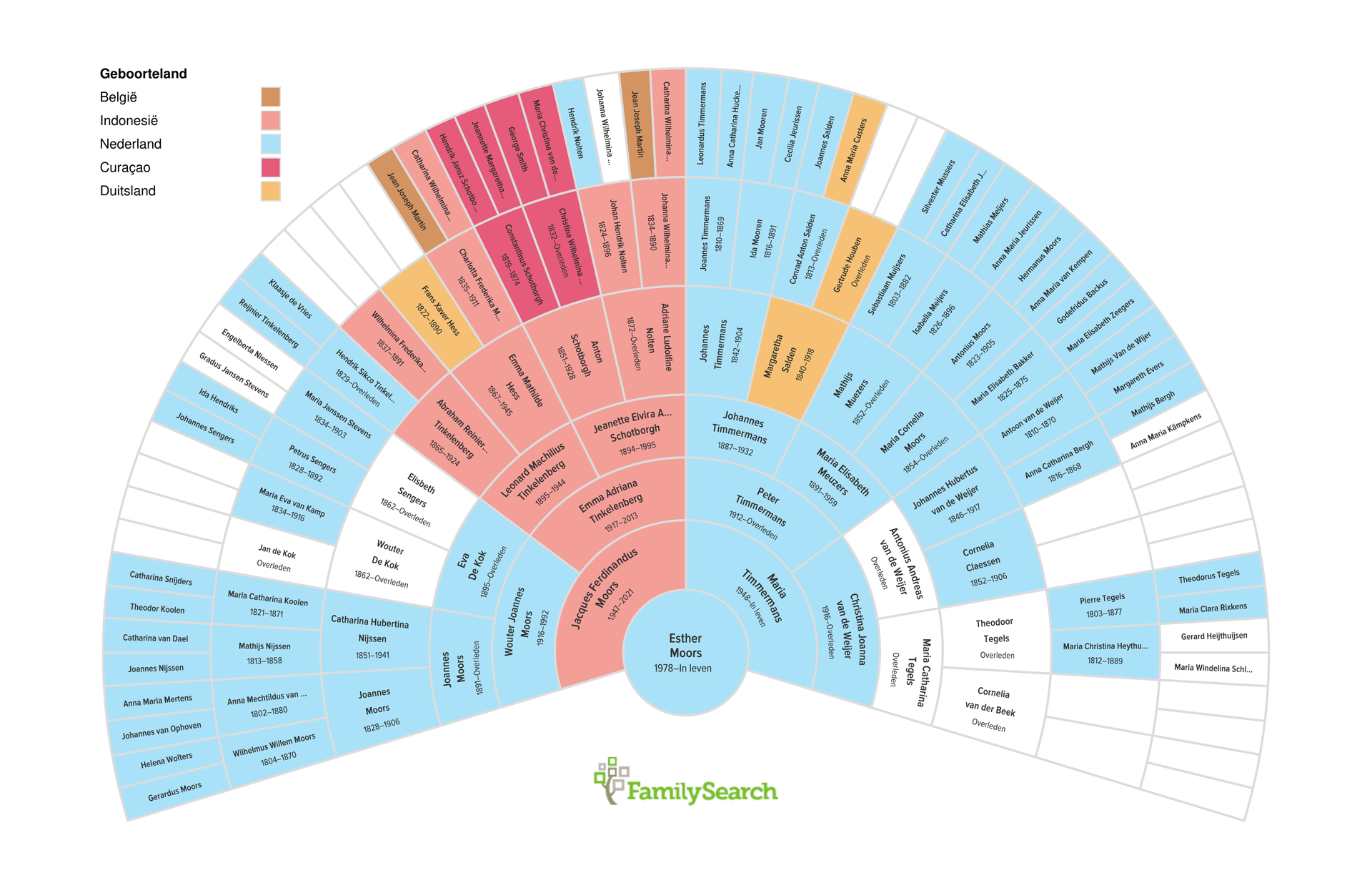 Waaierdiagram van mijn stamboom met voorouders uit Nederland, Indonesië, Curaçao, Duitsland en België