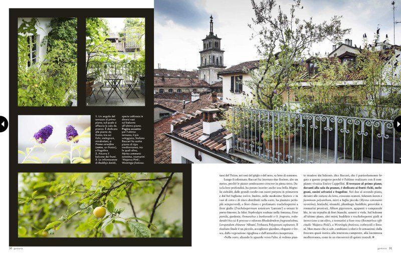 Articolo Gardenia 3