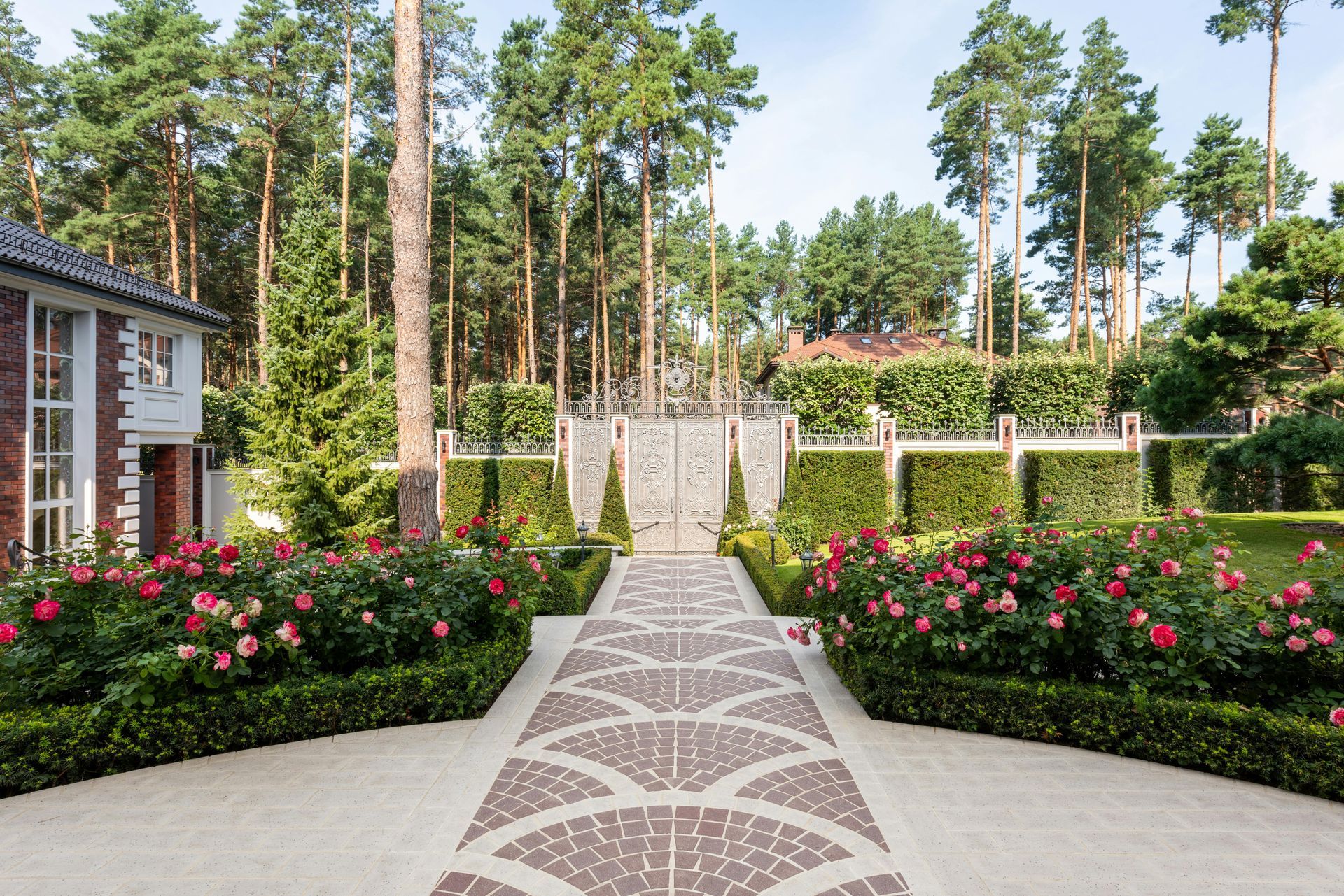 A paved path leads to ornate metal gates between lush rose gardens and hedges, with tall pine trees in the background.
