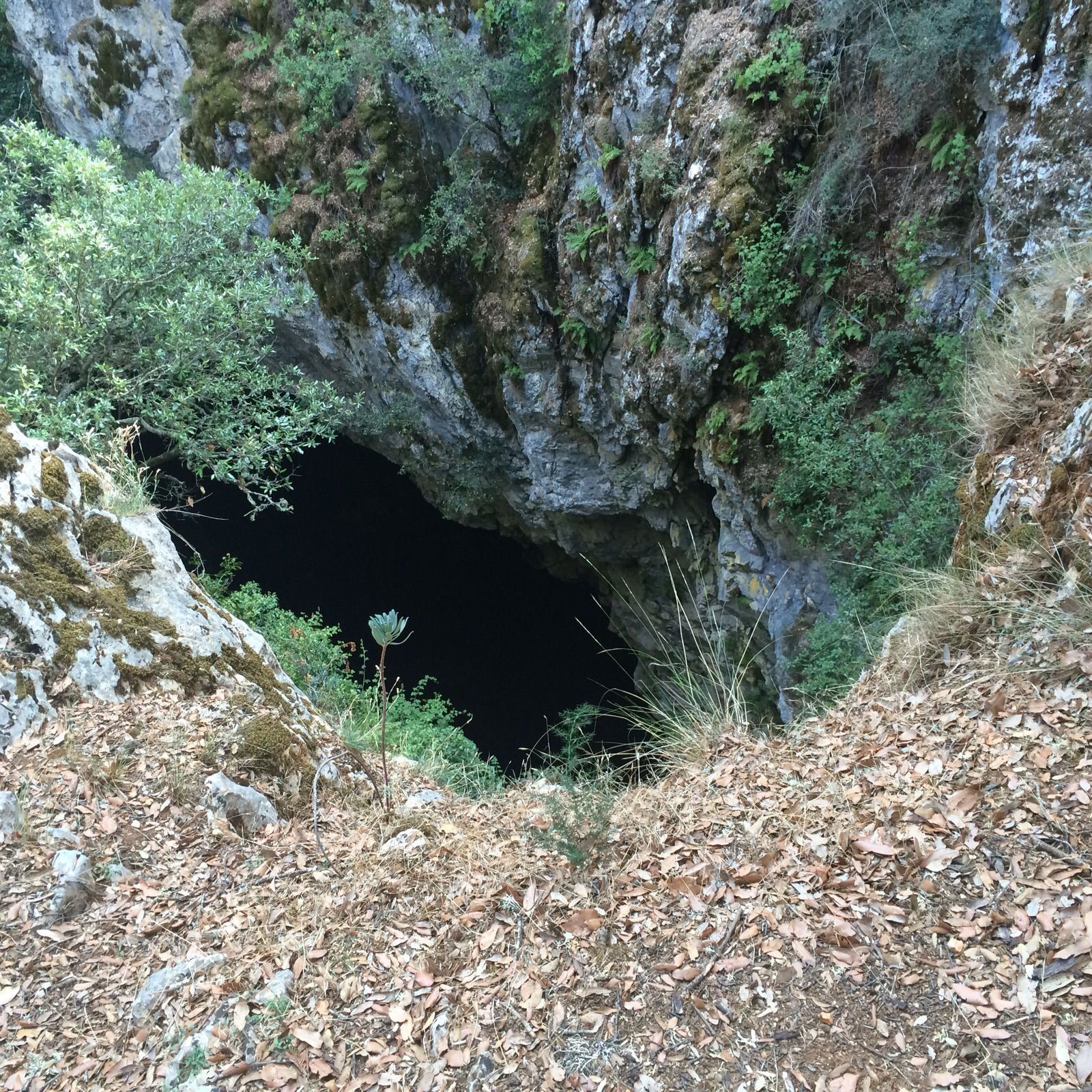 insegne negozi
