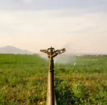 A metal agricultural sprinkler sprays water over a green field against a soft, light-filled sky.