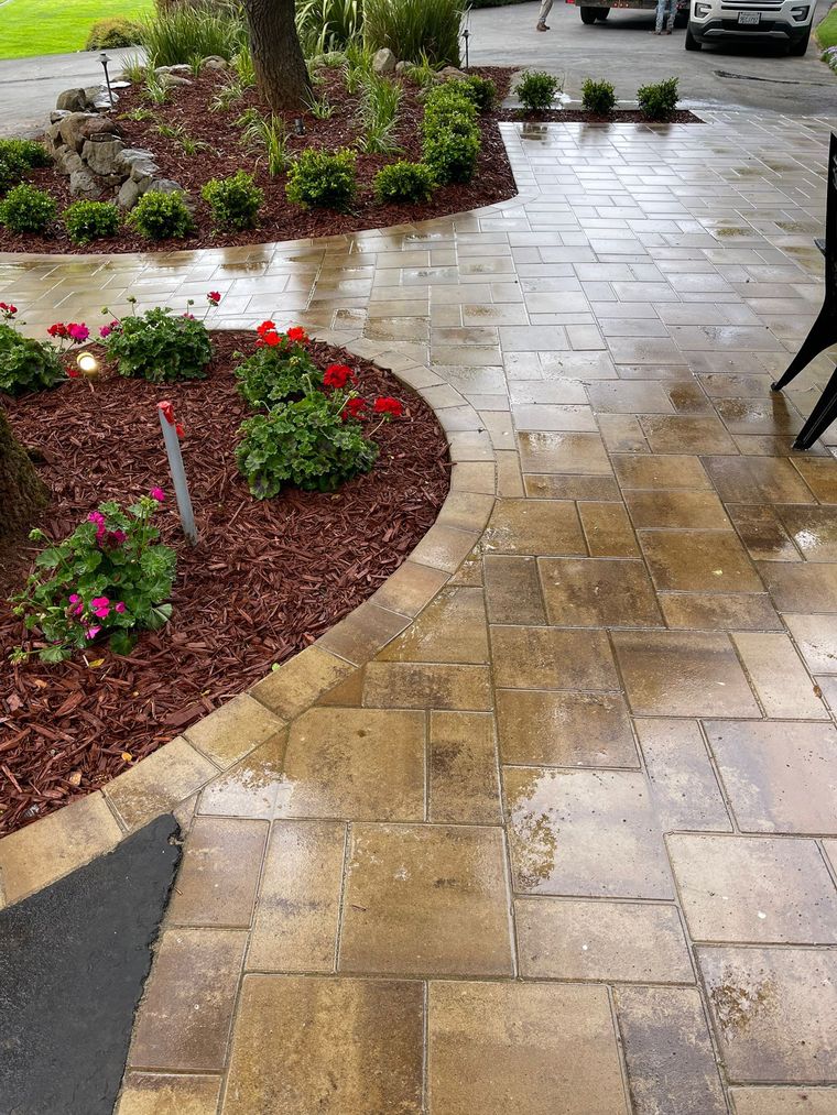 A wet stone patio pathway bordered by dark mulch garden beds with green shrubs and small red flowers.