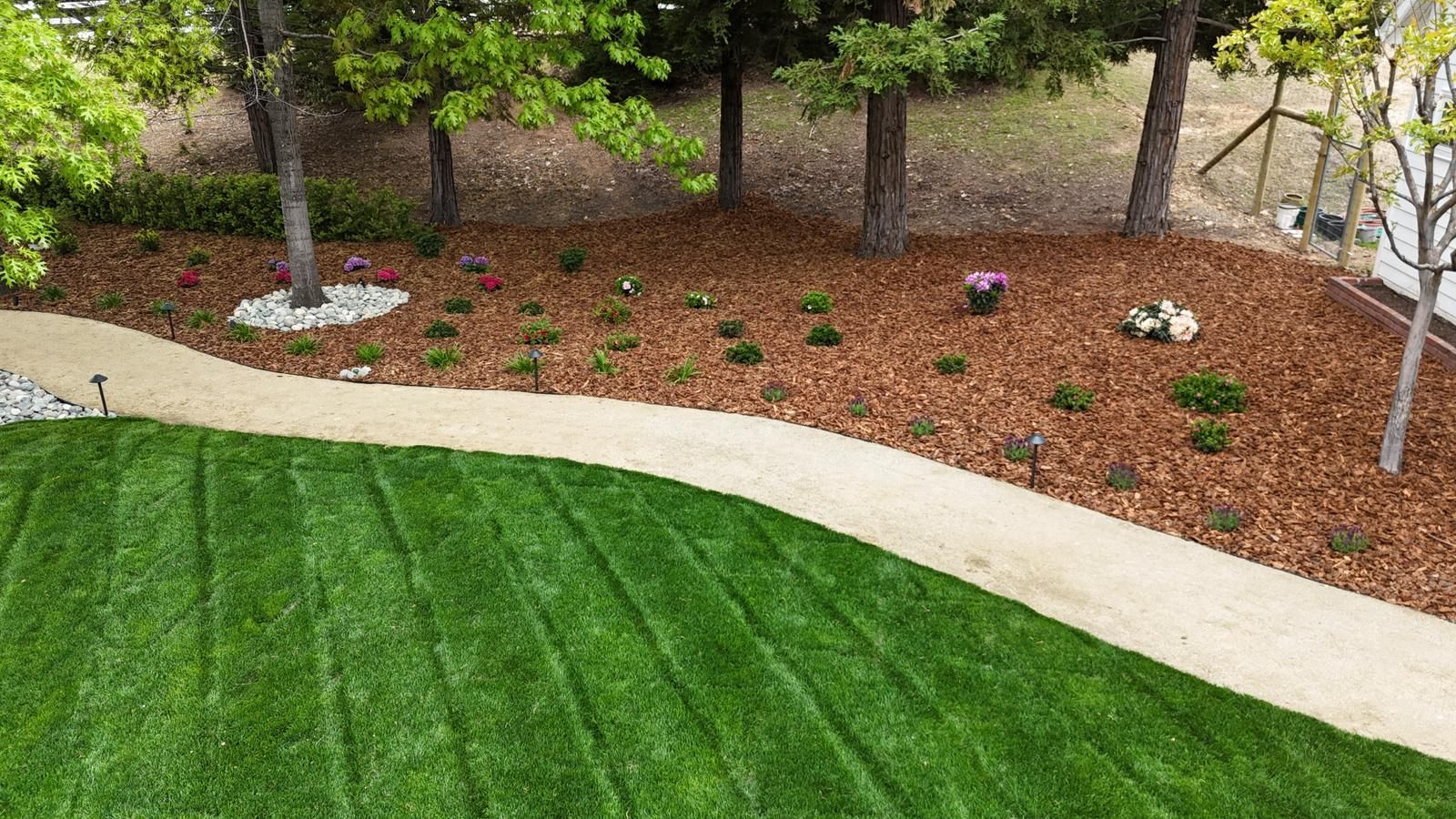 A curved concrete path separates a neatly mown green lawn from a garden bed filled with brown mulch and small plantings.