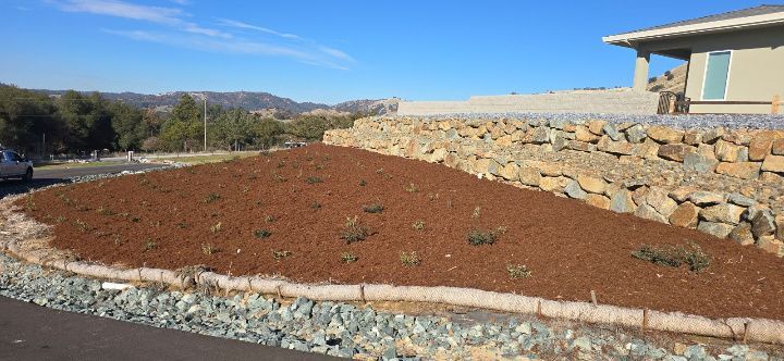 A landscape of mulch and small plants on a slope, bordered by stones, with a stone retaining wall and house in the back.