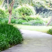 A paved stone path curves through a lush, green park filled with grass, bushes, and trees under soft lighting.