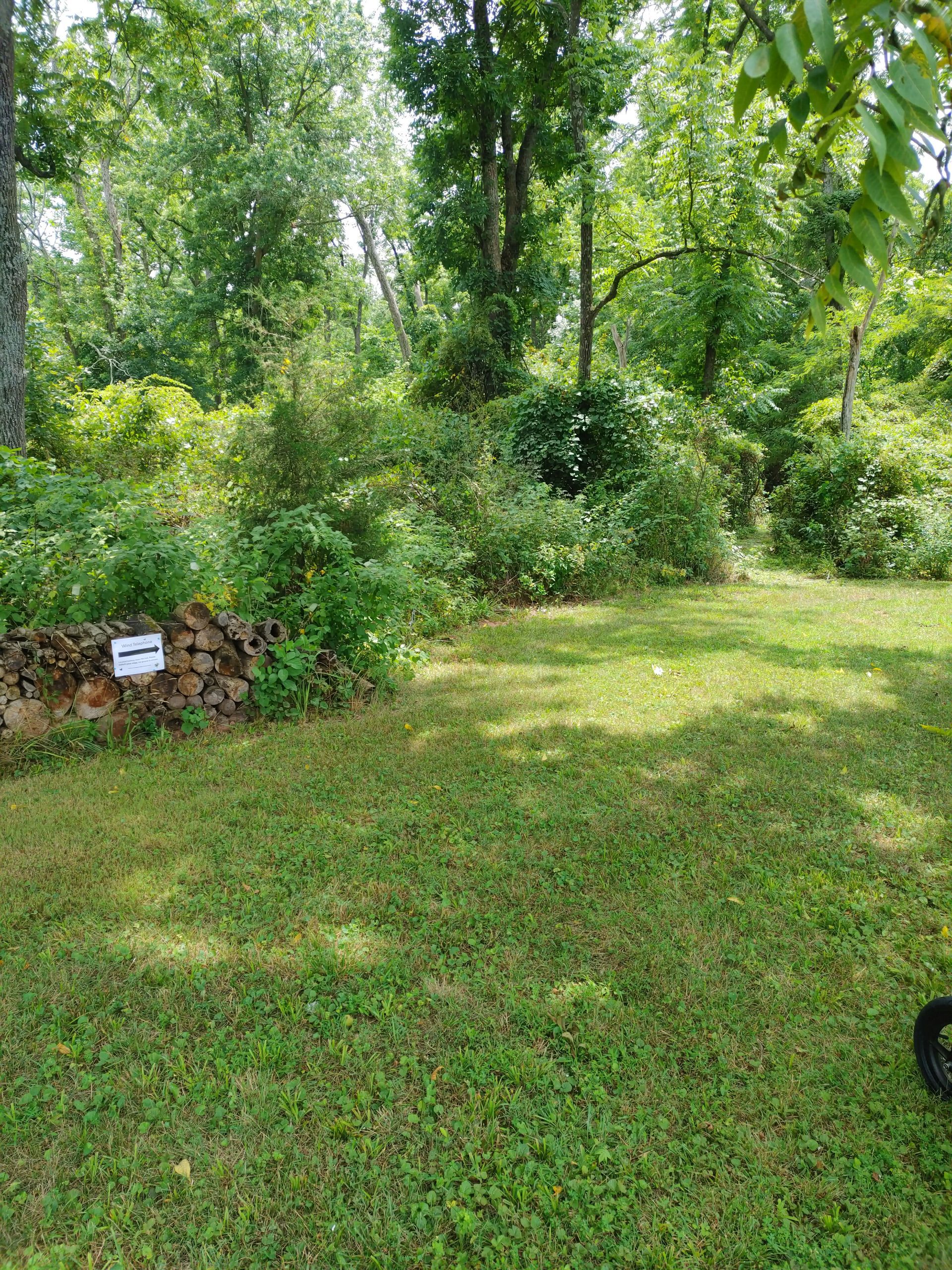 A lush green field with trees in the background and a tire in the foreground.