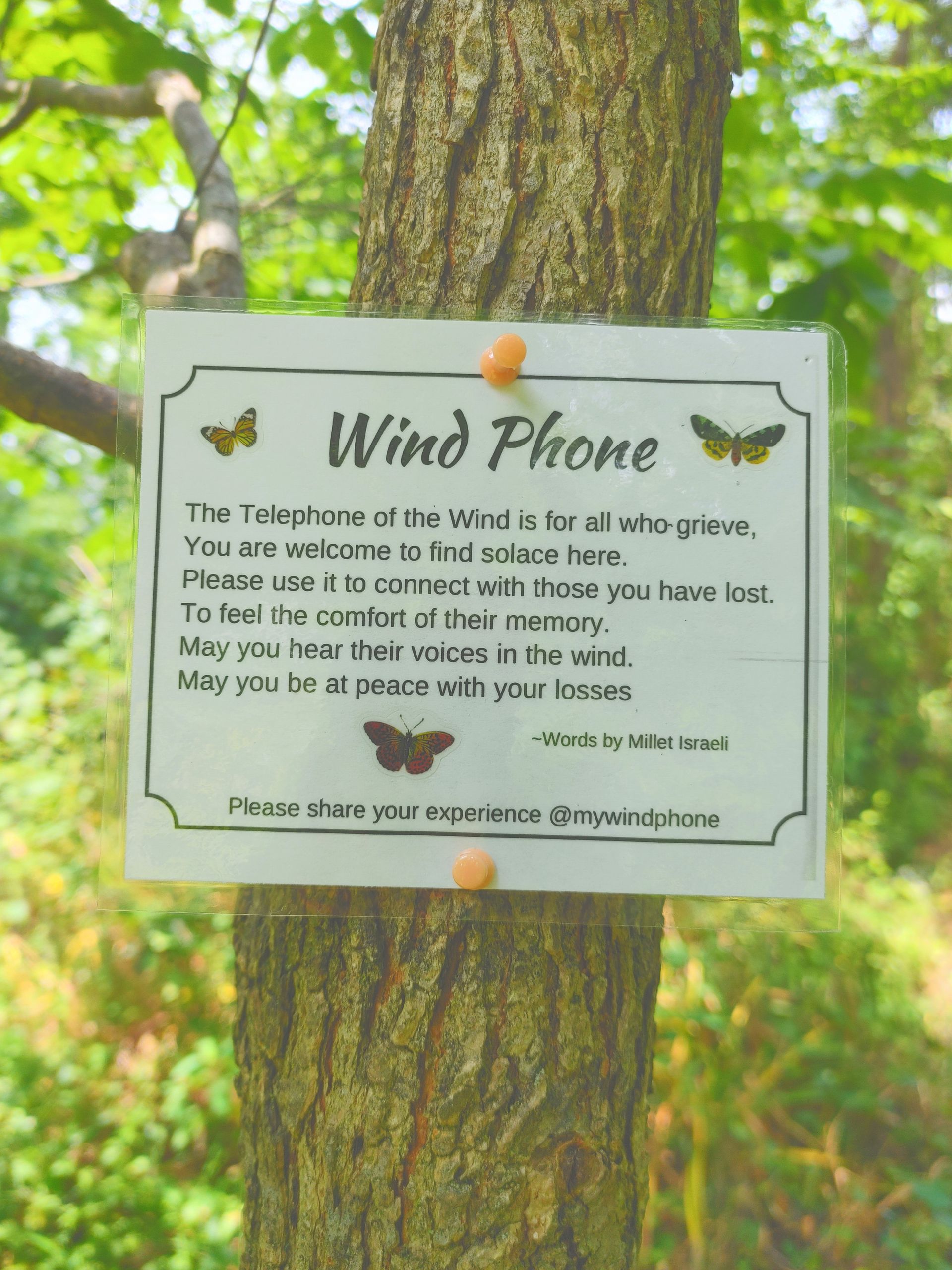 A sign on a tree that says wind phone