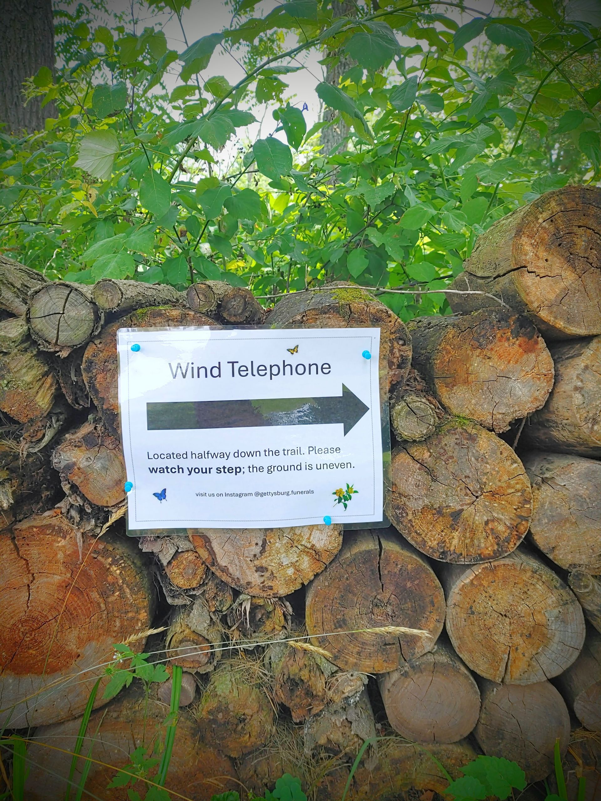 A sign on a pile of logs says wind telephone