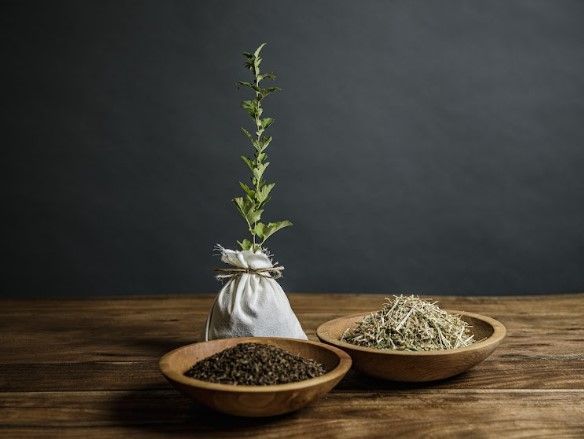 Two bowls of herbs and a plant on a wooden table.