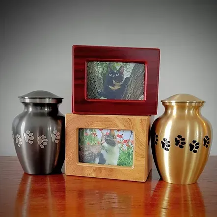 Three urns are sitting on a wooden table next to a picture frame of a cat.