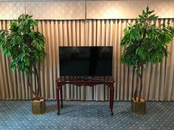 A flat-screen TV on a dark wooden table, flanked by two potted green trees in front of beige curtains.