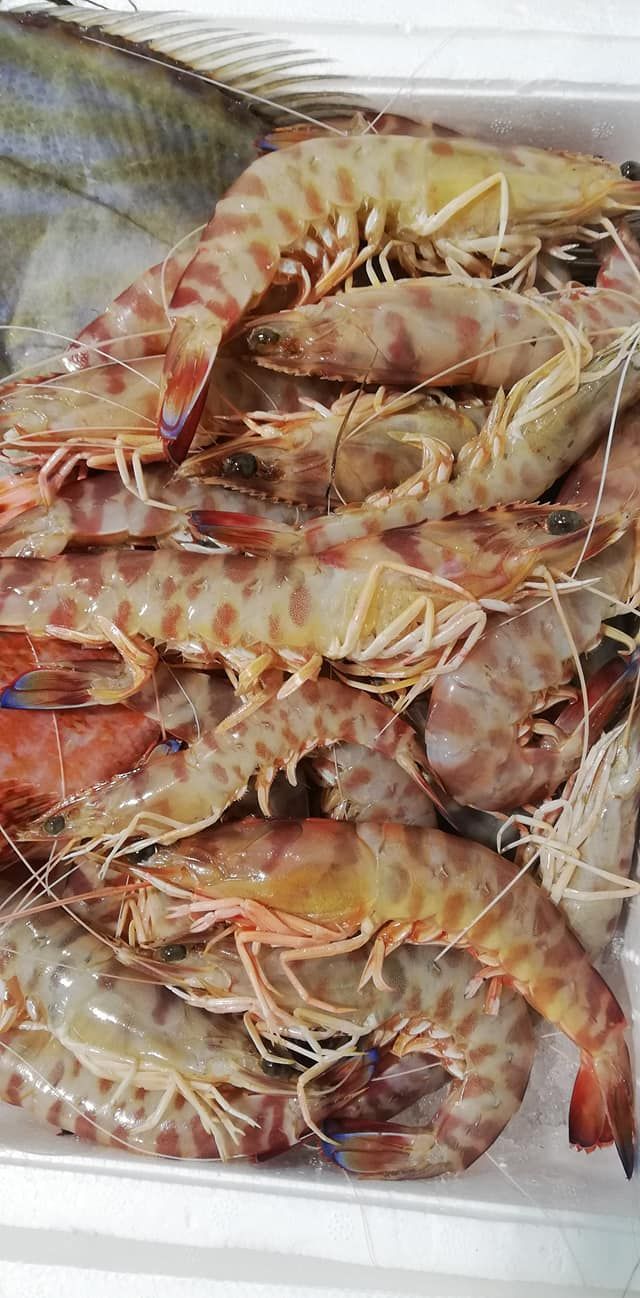 pescheria mauromare