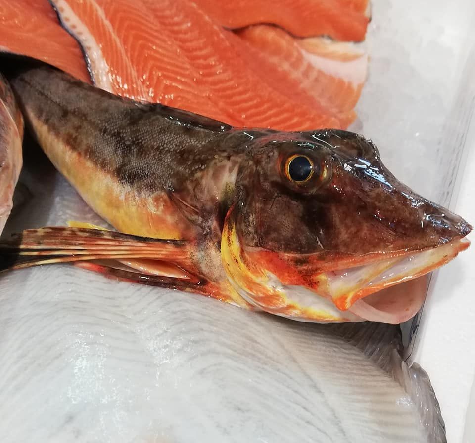 pescheria mauromare