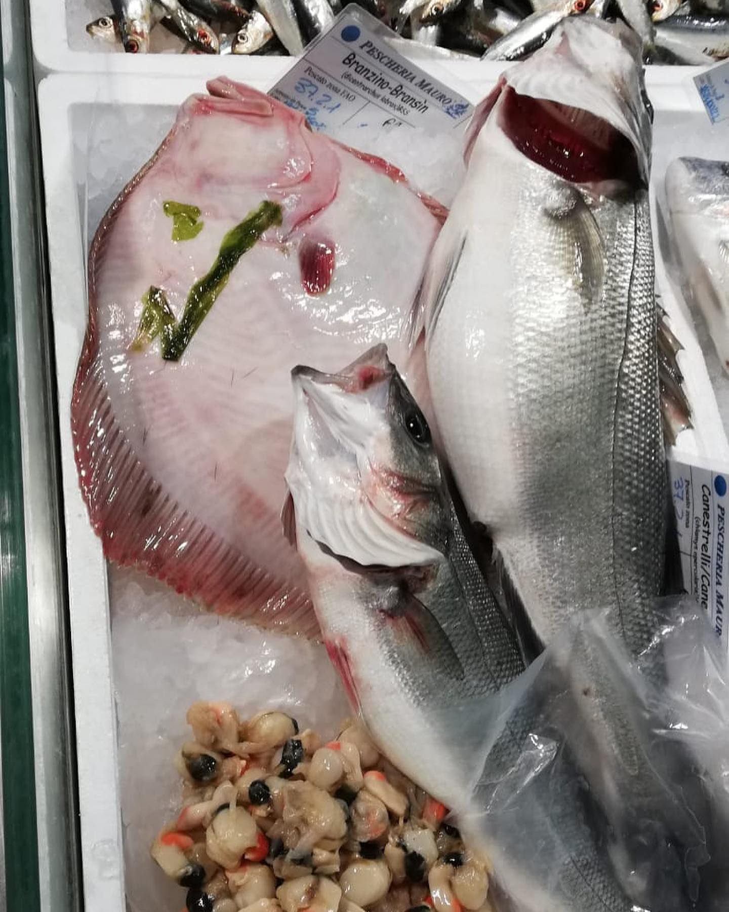 pescheria mauromare