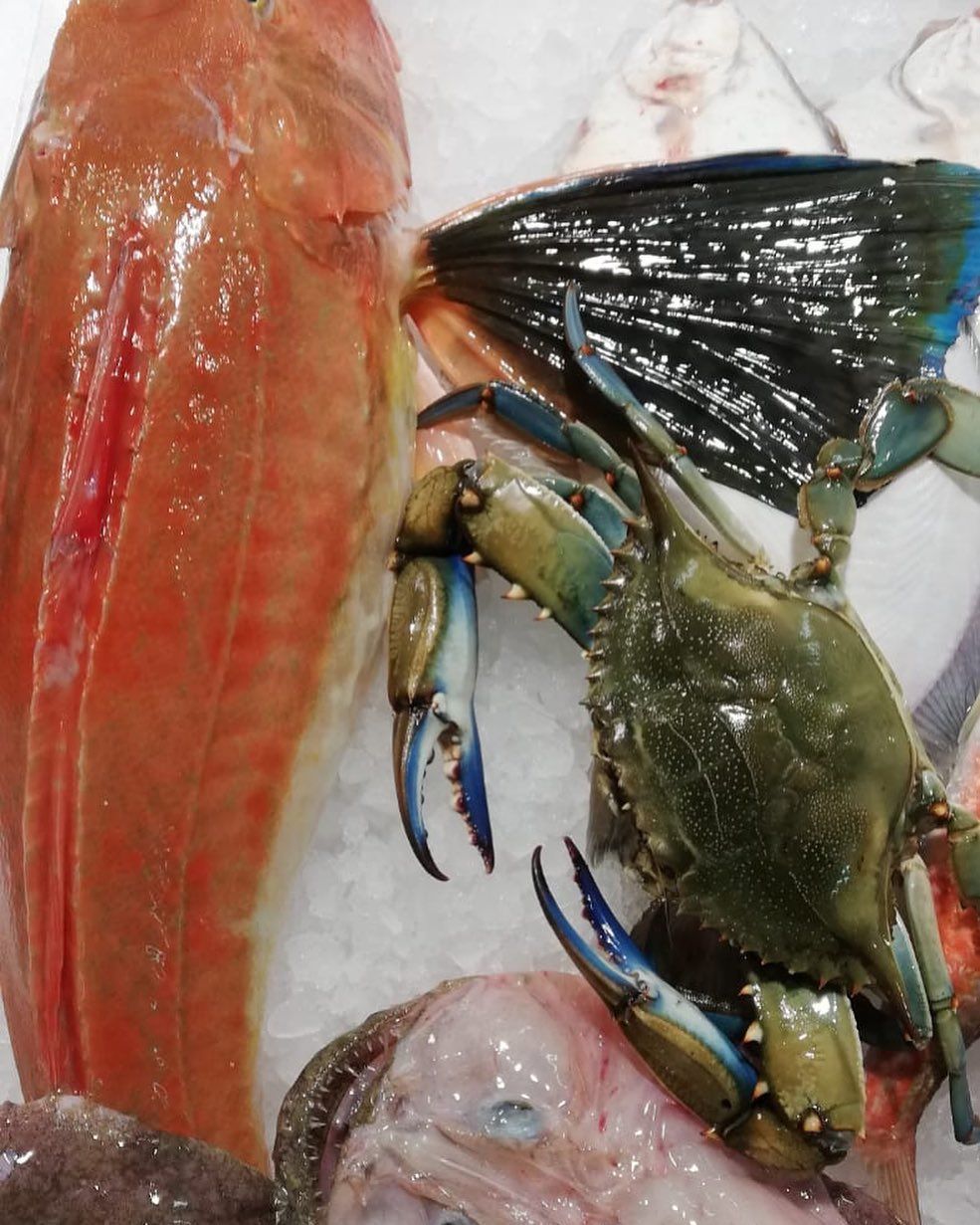 pescheria mauromare