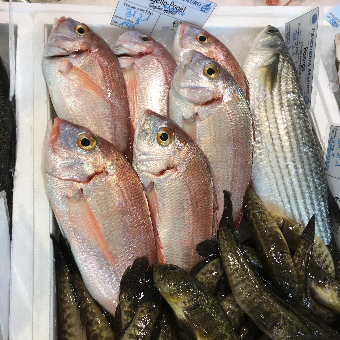 assortimento