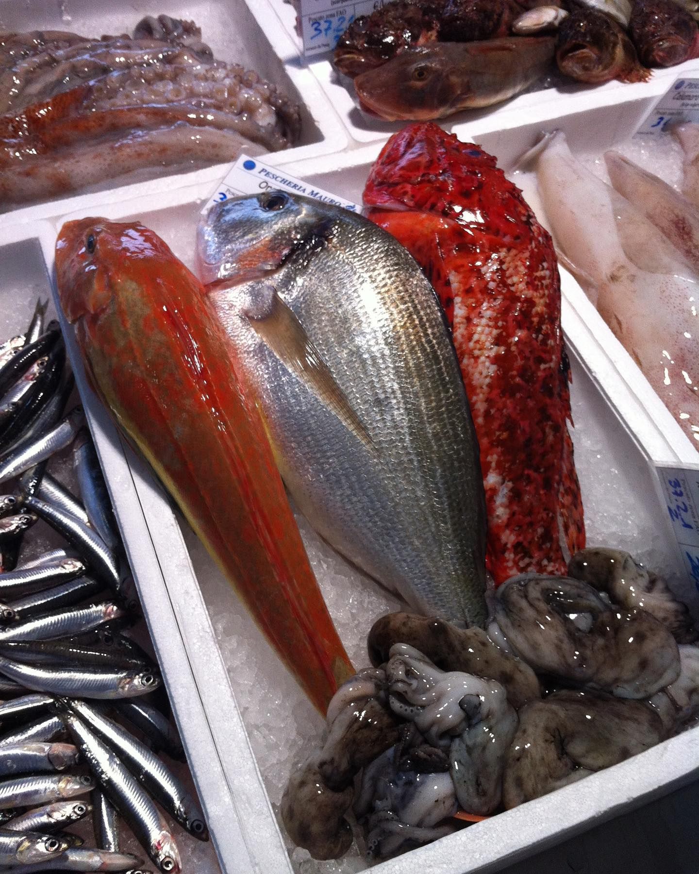 pescheria mauromare
