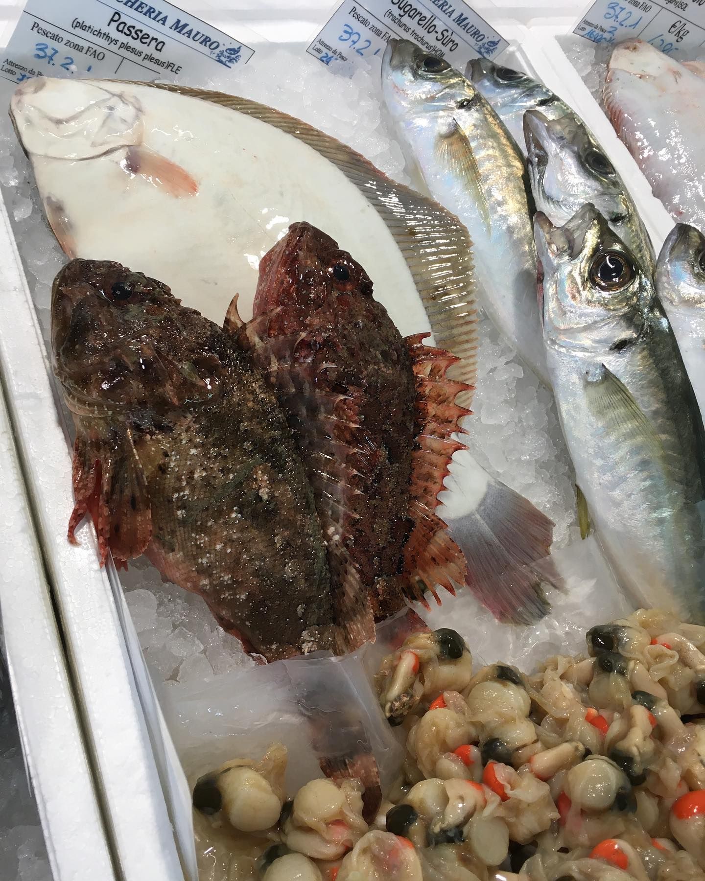 pescheria mauromare