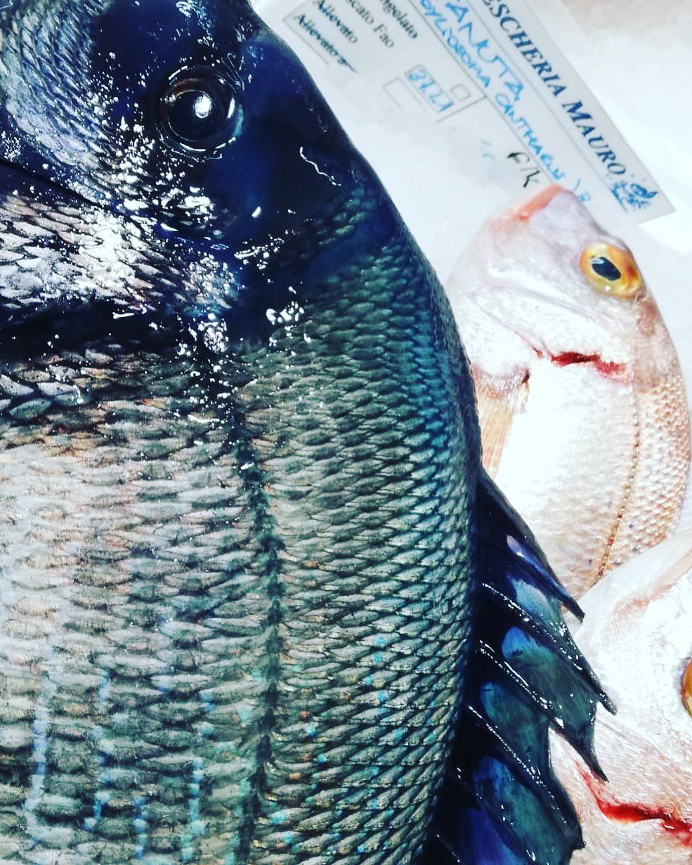 pescheria mauromare