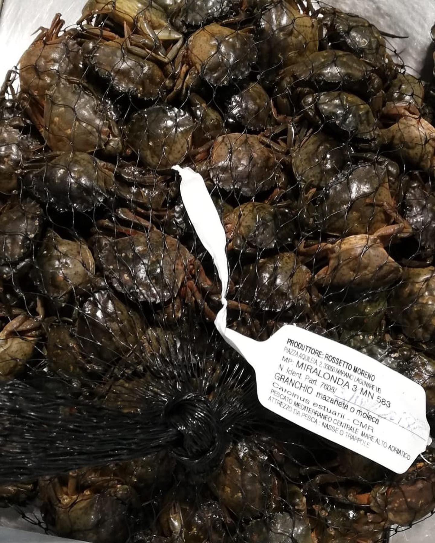 pescheria mauromare