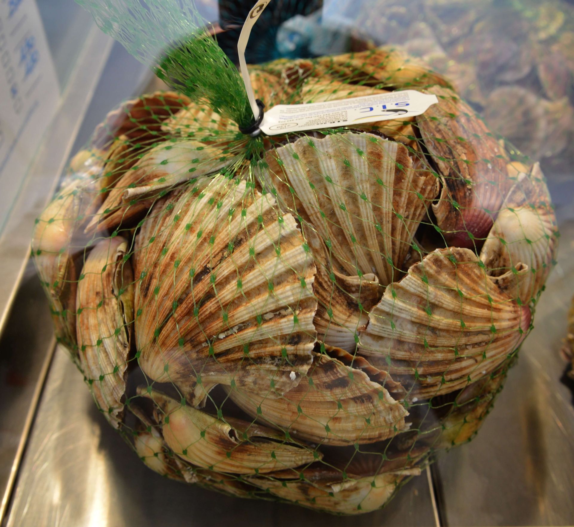 pescheria mauromare