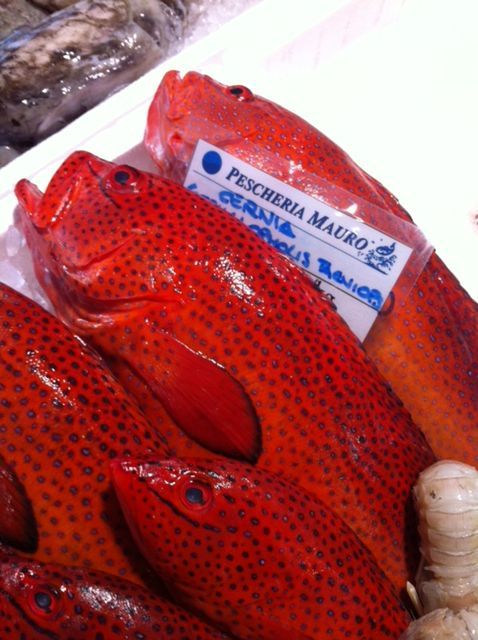 pescheria mauromare