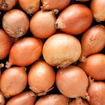 Onions