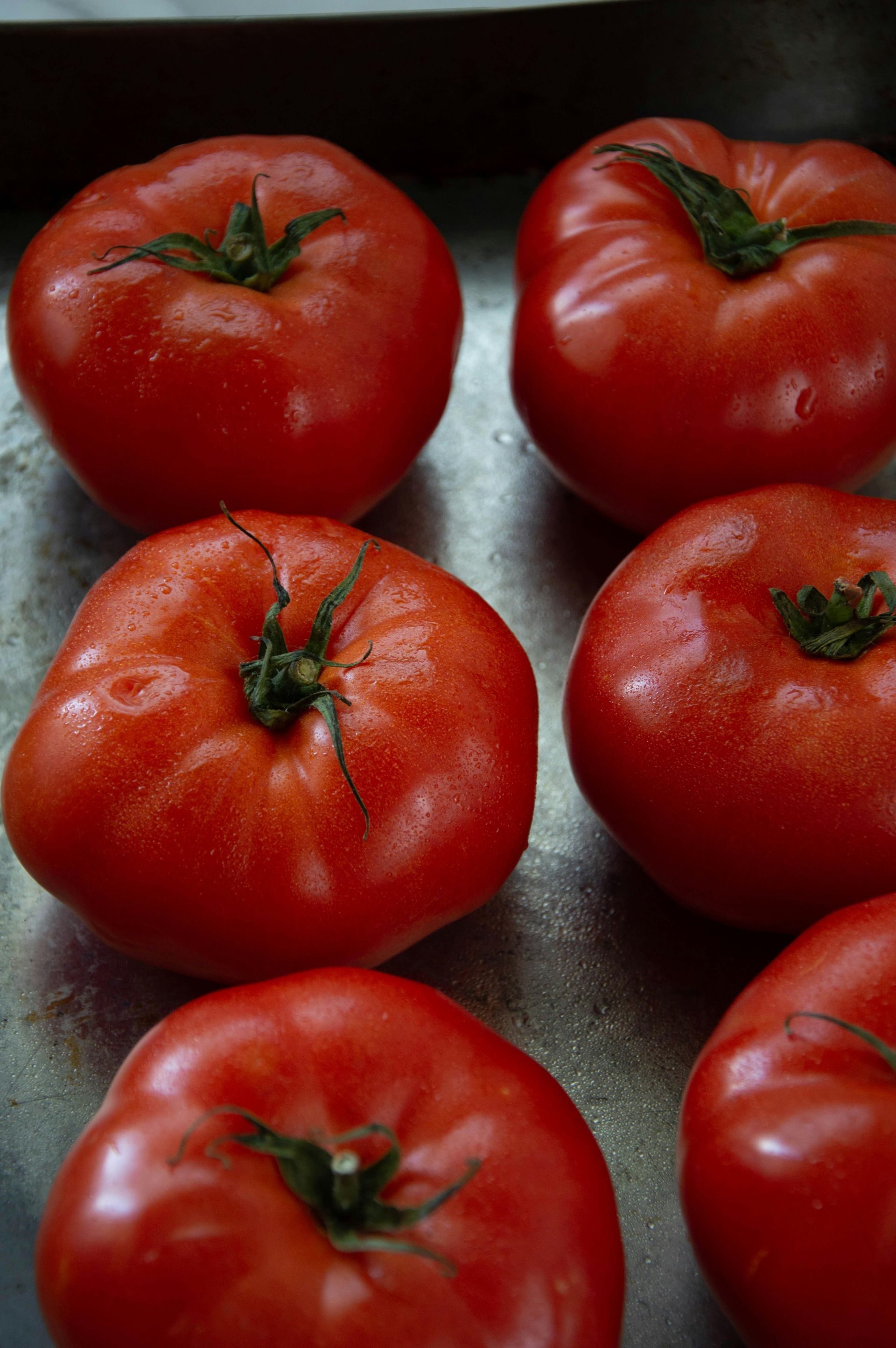 Tomatoes