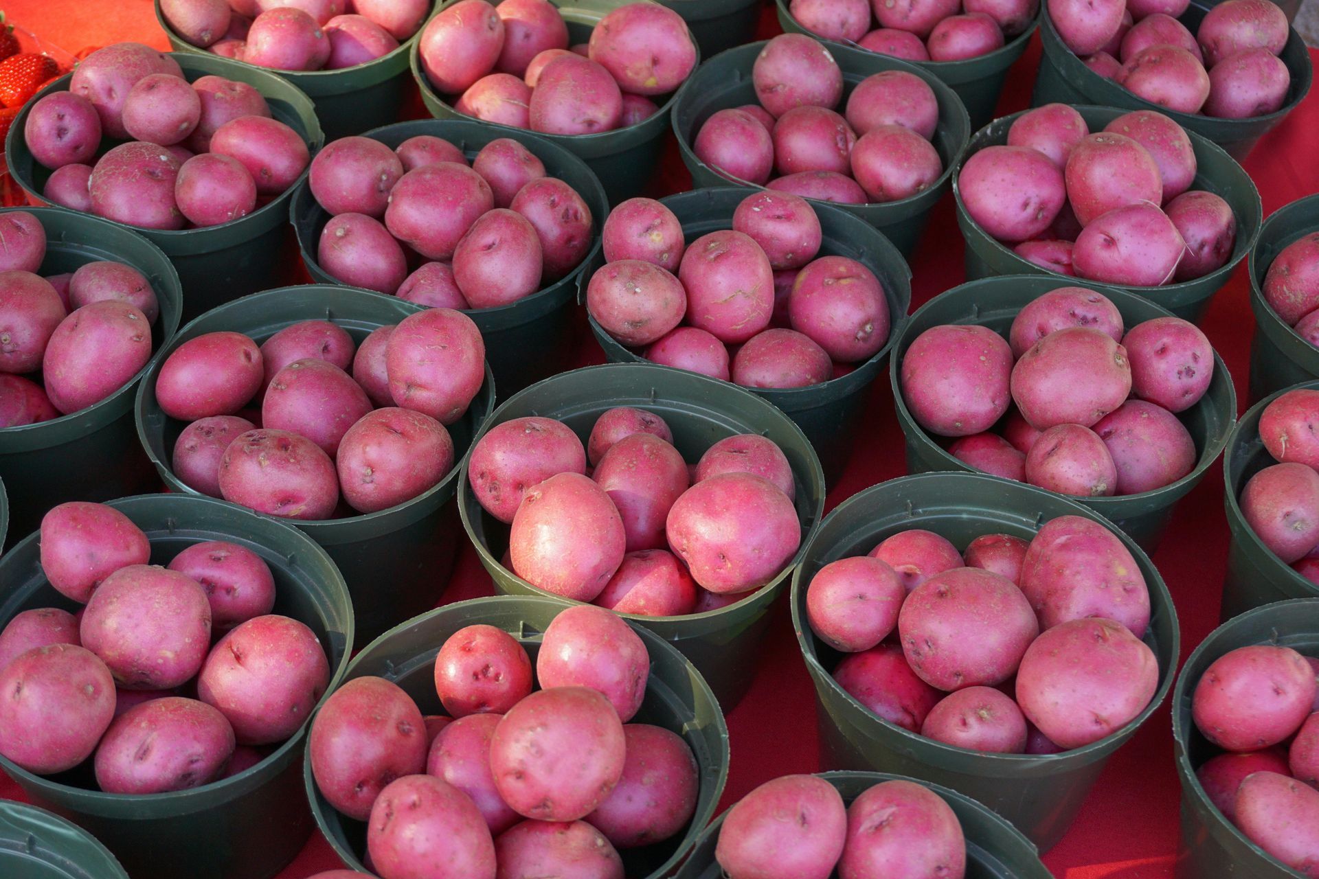 Potatoes